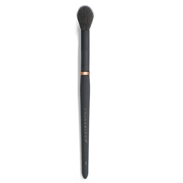 Highlight Luxe Brush YB7