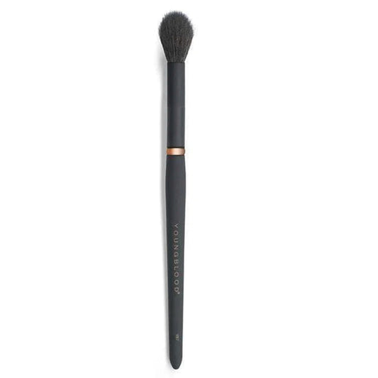 Highlight Luxe Brush YB7